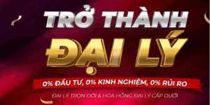 Những kinh nghiệm cần tham khảo khi làm đại lý